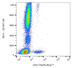 CD21 Antibody in Flow Cytometry (Flow)