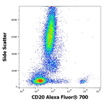 CD20 Antibody in Flow Cytometry (Flow)