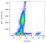 CD20 Antibody in Flow Cytometry (Flow)