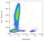CD20 Antibody in Flow Cytometry (Flow)