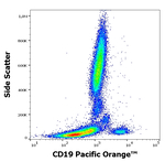 CD19 Antibody in Flow Cytometry (Flow)