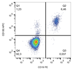 CD180 Monoclonal Antibody (G28-8), APC