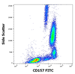 CD157 Antibody in Flow Cytometry (Flow)