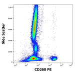 BAFF Receptor Antibody in Flow Cytometry (Flow)
