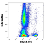 BAFF Receptor Monoclonal Antibody (11C1), APC