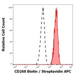 BAFF Receptor Monoclonal Antibody (11C1), Biotin