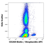 BAFF Receptor Antibody in Flow Cytometry (Flow)
