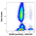 BAFF Receptor Antibody in Flow Cytometry (Flow)