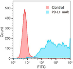PD-L1 Recombinant Rabbit Monoclonal Antibody (8F1V6)