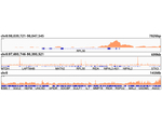H3K18ac Antibody in ChIP-Sequencing (ChIP-seq)