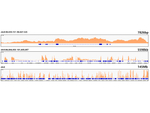 H3K79me1 Antibody in ChIP-Sequencing (ChIP-seq)