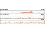 H3K79me2 Antibody in ChIP-Sequencing (ChIP-seq)