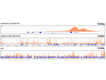 H3K27ac Antibody in ChIP-Sequencing (ChIP-seq)