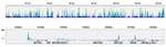 H3K9ac Antibody in CUT&Tag (CUT&Tag)