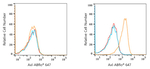 Axl Antibody in Flow Cytometry (Flow)