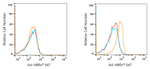 Axl Antibody in Flow Cytometry (Flow)