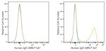Human IgD Antibody in Flow Cytometry (Flow)
