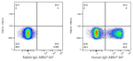 Human IgD Antibody in Flow Cytometry (Flow)