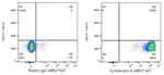 Cytokeratin 8 Antibody in Flow Cytometry (Flow)