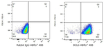BCL6 Antibody in Flow Cytometry (Flow)