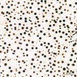 H4K5ac Antibody in Immunohistochemistry (Paraffin) (IHC (P))