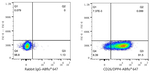DPP4 Antibody in Flow Cytometry (Flow)