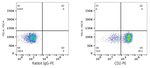 CD2 Antibody in Flow Cytometry (Flow)