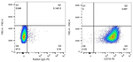CD74 Antibody in Flow Cytometry (Flow)