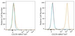BCAM Antibody in Flow Cytometry (Flow)