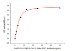 SARS CoV-2 Spike Protein RBD Antibody in Dot Blot (DB)