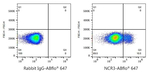 NKp30 Antibody in Flow Cytometry (Flow)