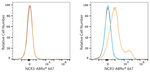 NKp30 Antibody in Flow Cytometry (Flow)