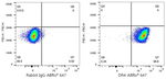 CD261 (DR4) Antibody in Flow Cytometry (Flow)