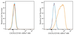CD185 (CXCR5) Antibody in Flow Cytometry (Flow)