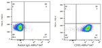 FAS Antibody in Flow Cytometry (Flow)