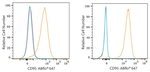 FAS Recombinant Rabbit Monoclonal Antibody (7D1K7)