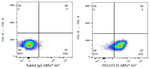 FLT3 Antibody in Flow Cytometry (Flow)