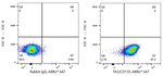 FLT3 Antibody in Flow Cytometry (Flow)