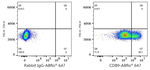 CD89 Antibody in Flow Cytometry (Flow)