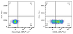 CD38 Antibody in Flow Cytometry (Flow)