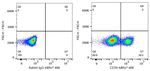CD39 Antibody in Flow Cytometry (Flow)