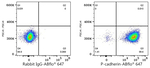 P-cadherin Antibody in Flow Cytometry (Flow)
