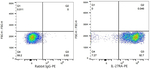 TCCR Antibody in Flow Cytometry (Flow)