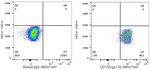 CD130 Antibody in Flow Cytometry (Flow)