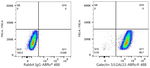 Galectin 3 Antibody in Flow Cytometry (Flow)