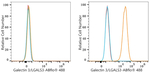 Galectin 3 Antibody in Flow Cytometry (Flow)