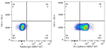 VE-cadherin Antibody in Flow Cytometry (Flow)