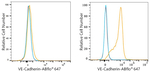 VE-cadherin Antibody in Flow Cytometry (Flow)