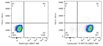 Cytokeratin 19 Antibody in Flow Cytometry (Flow)