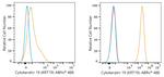 Cytokeratin 19 Antibody in Flow Cytometry (Flow)